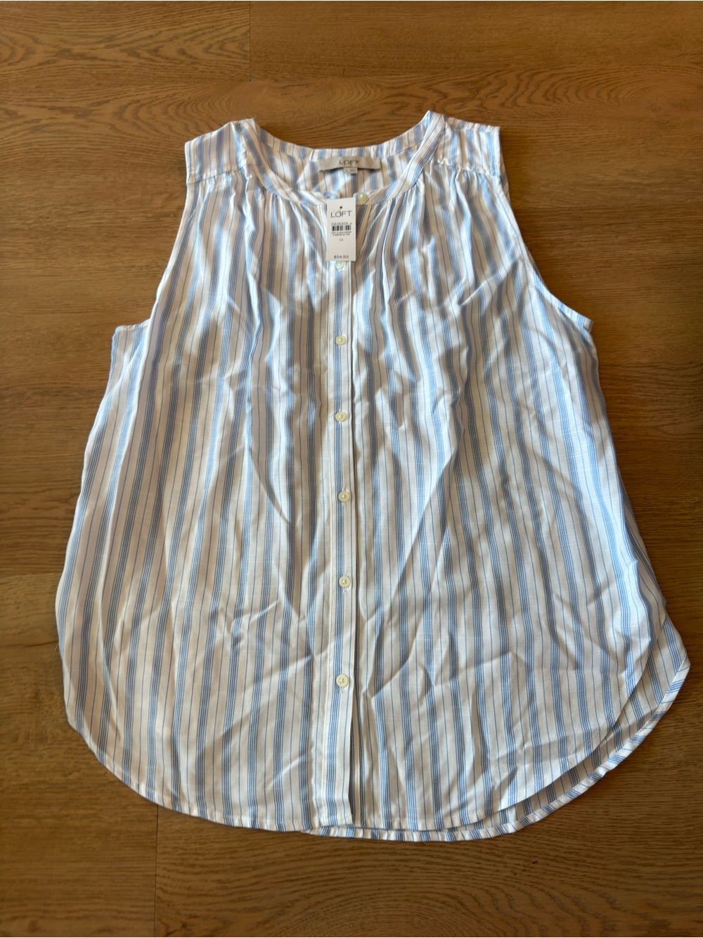 LOFT Light Blue and White Striped Sleeveless Button-Front Shirt